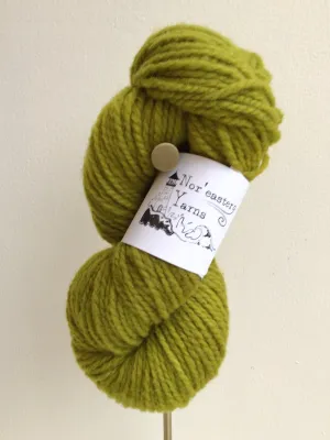 Bulky 2ply Yarn | Dill Pickle Green