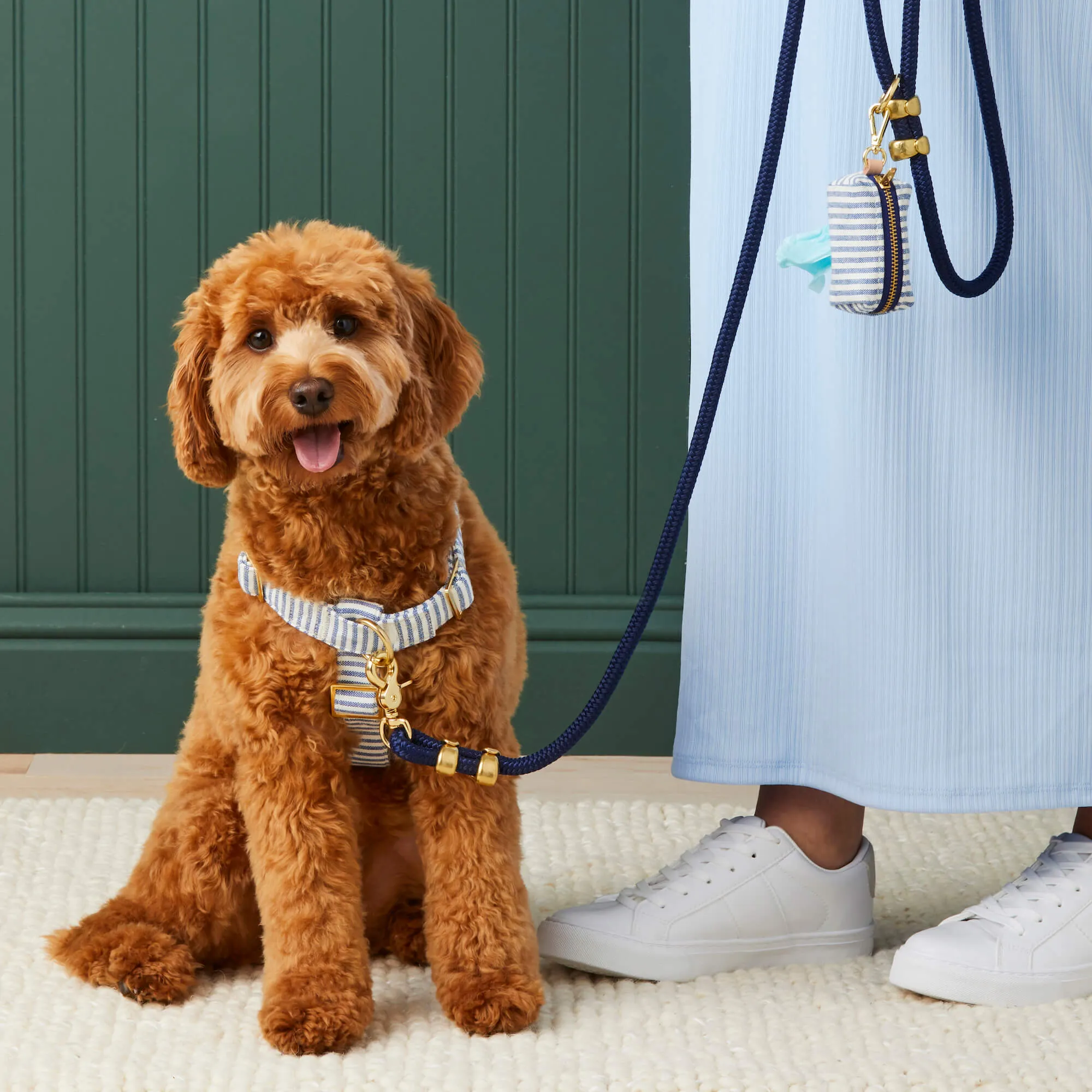 Lake Blue Stripe Harness Walk Set