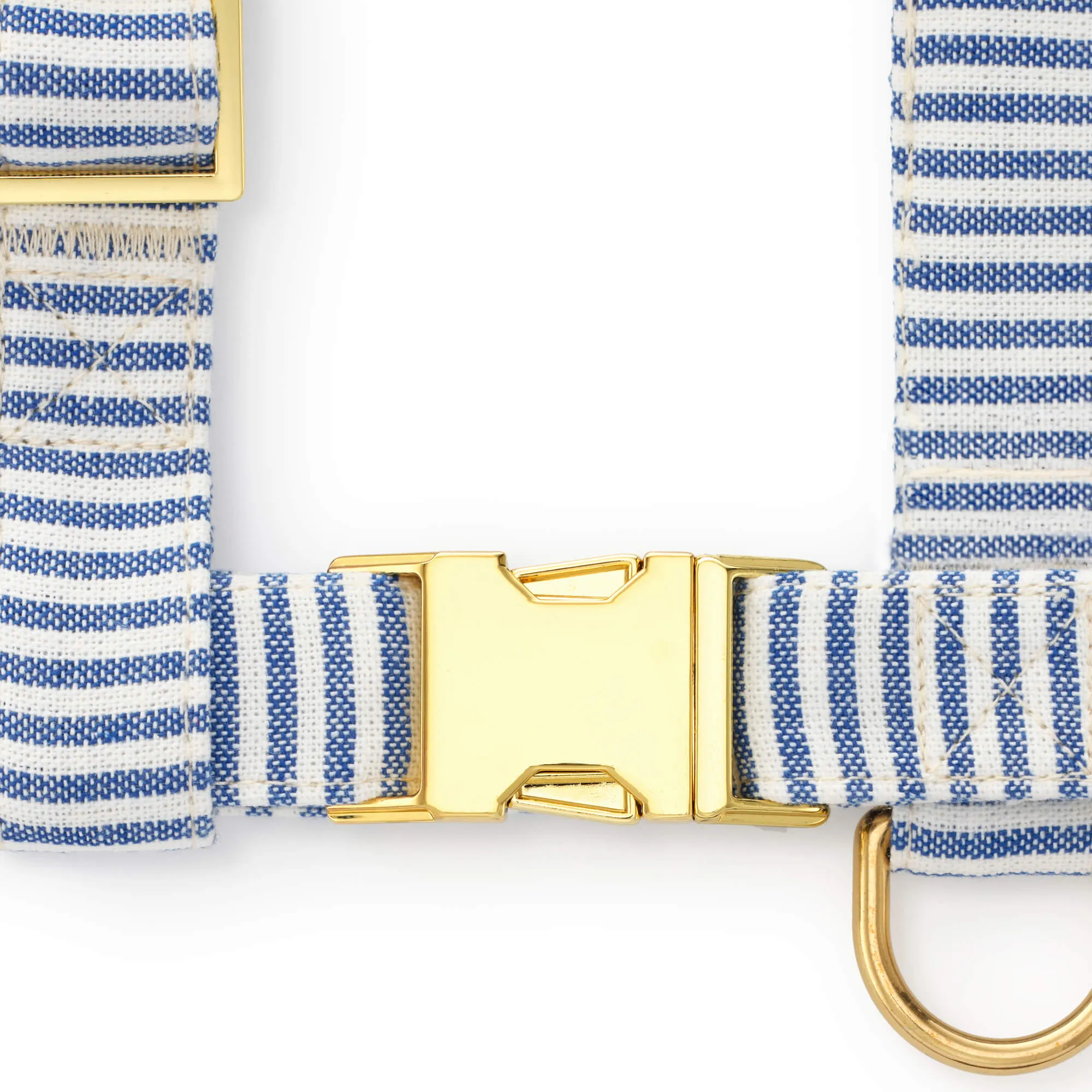 Lake Blue Stripe Harness Walk Set