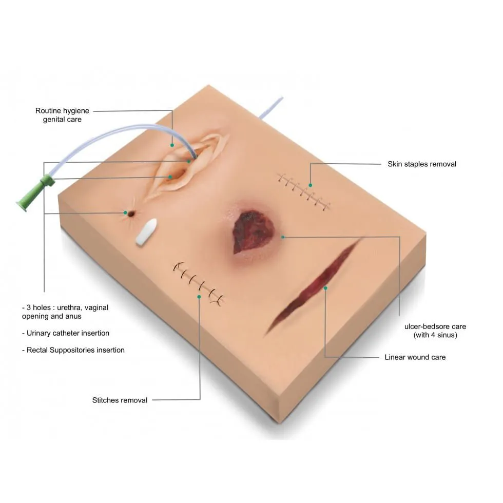 MultiPad 2 Multipurpose Clinical Skills Trainer