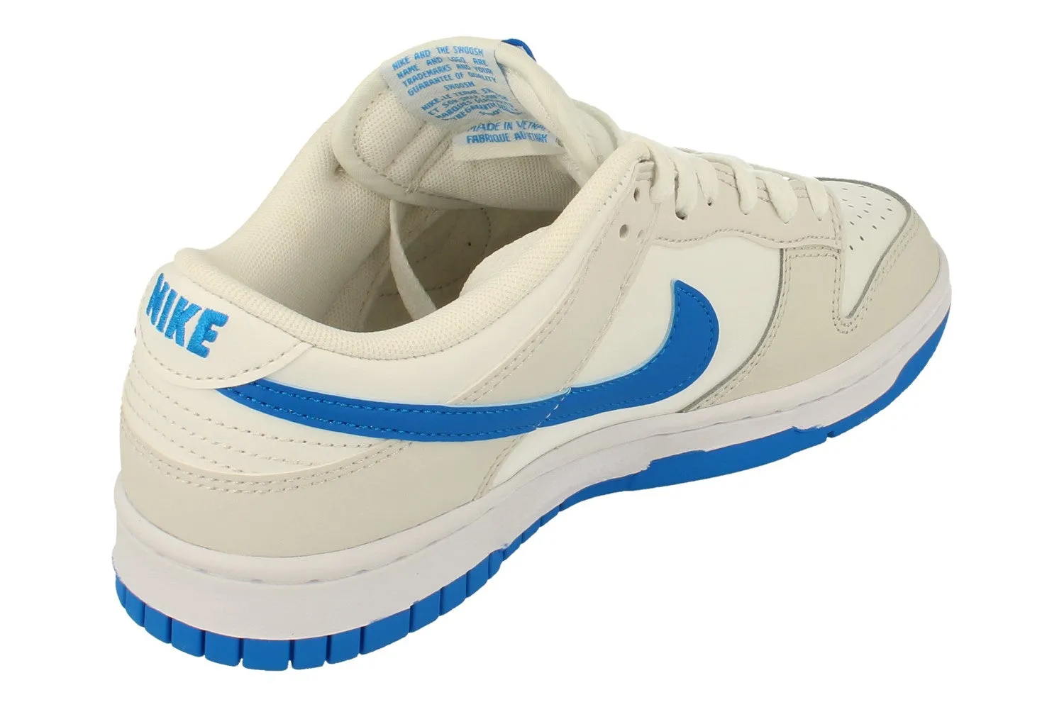 Nike Dunk Low Retro Mens Trainers DV0831 108