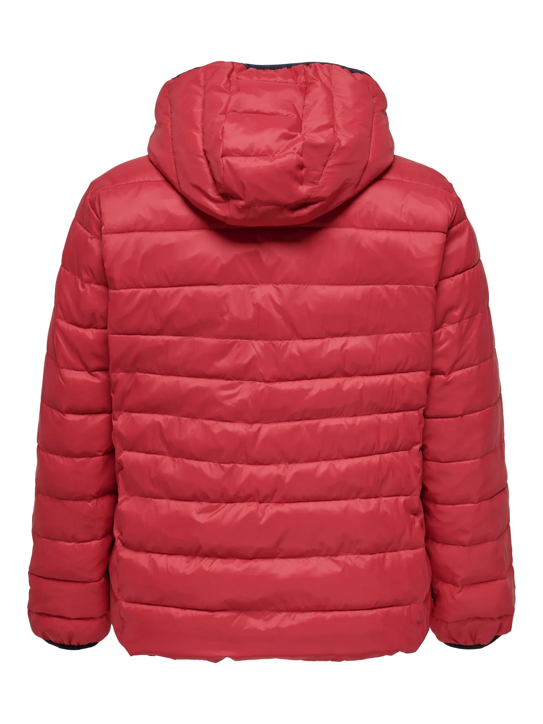 Only Carmakoma Reversible Jacket in Red/Navy