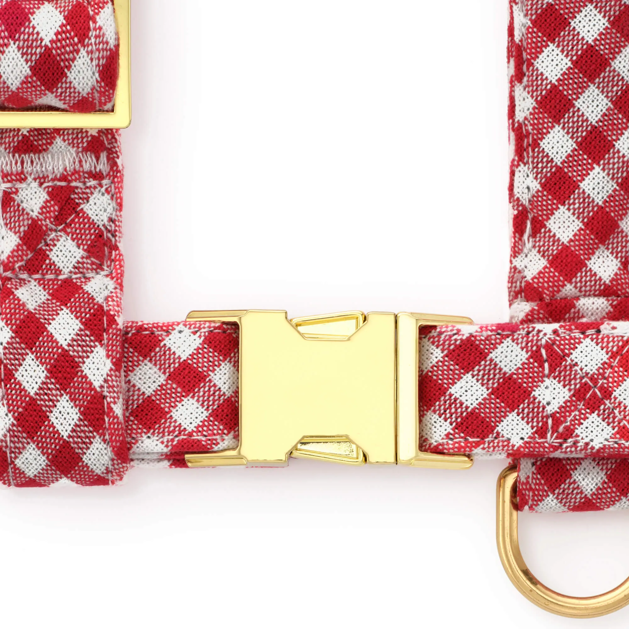 Red Gingham Harness Walk Set