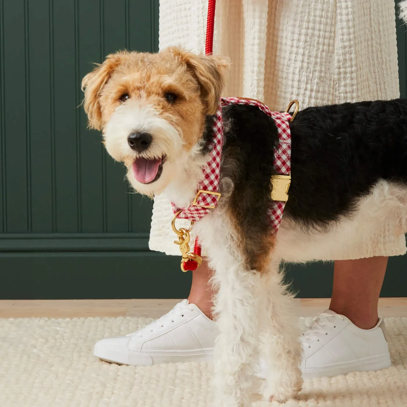 Red Gingham Harness Walk Set