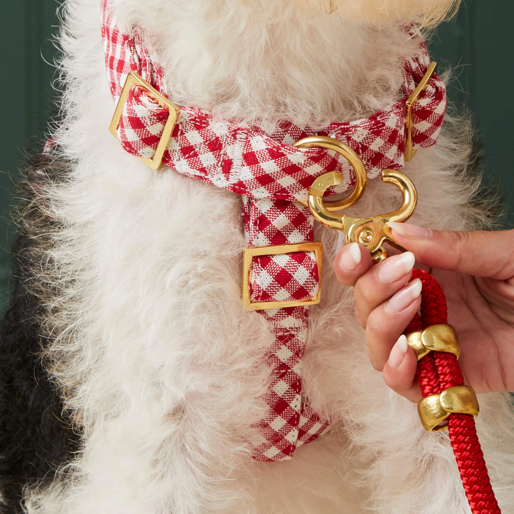 Red Gingham Harness Walk Set