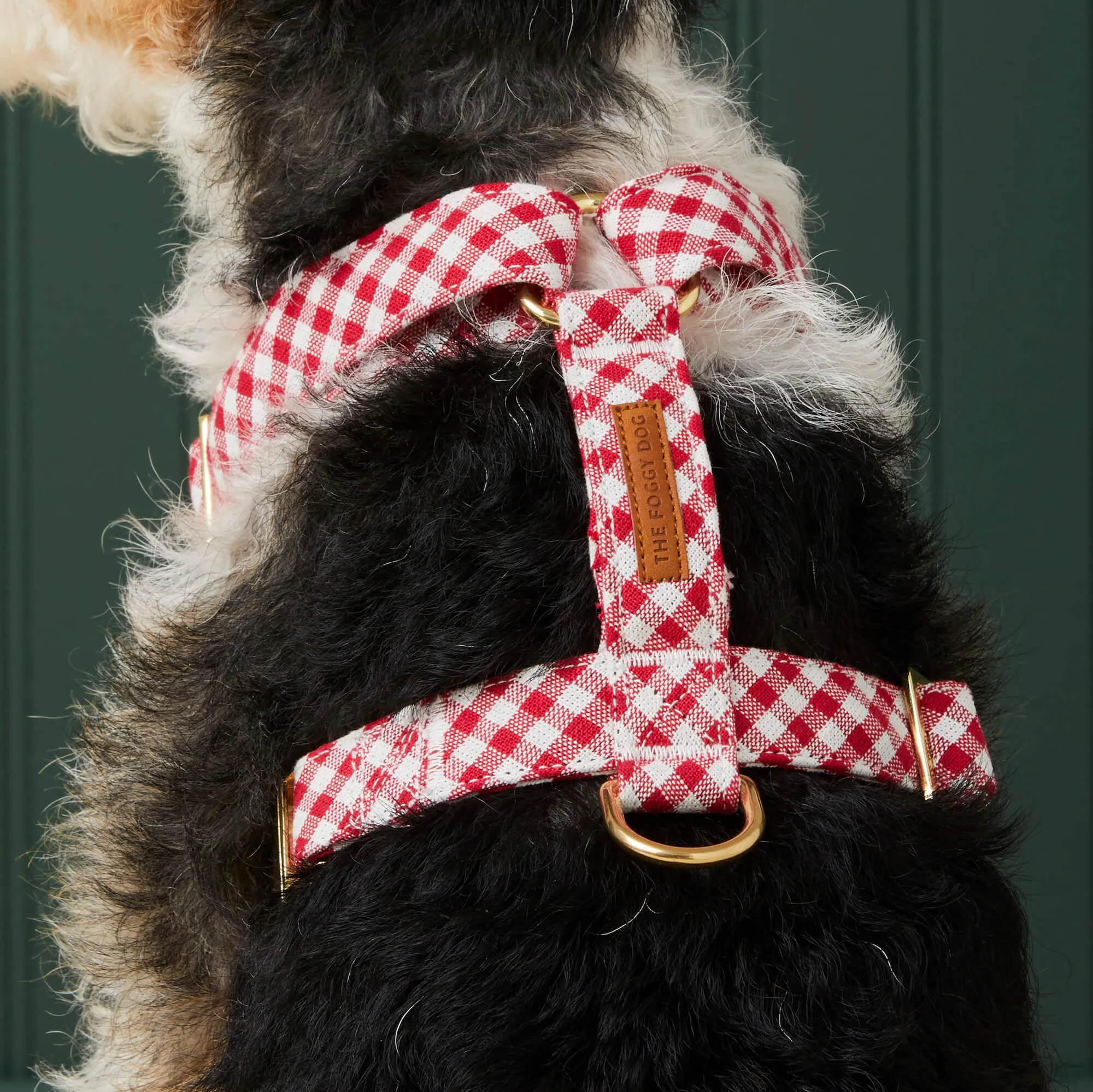 Red Gingham Harness Walk Set