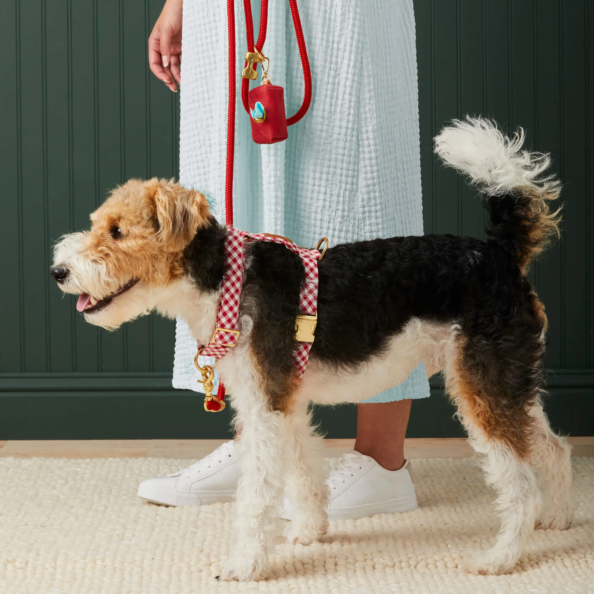 Red Gingham Harness Walk Set