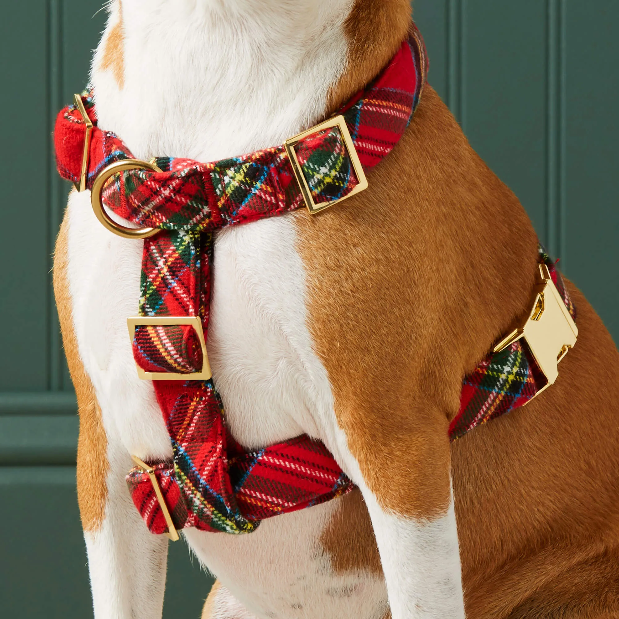 Tartan Plaid Flannel Harness Walk Set