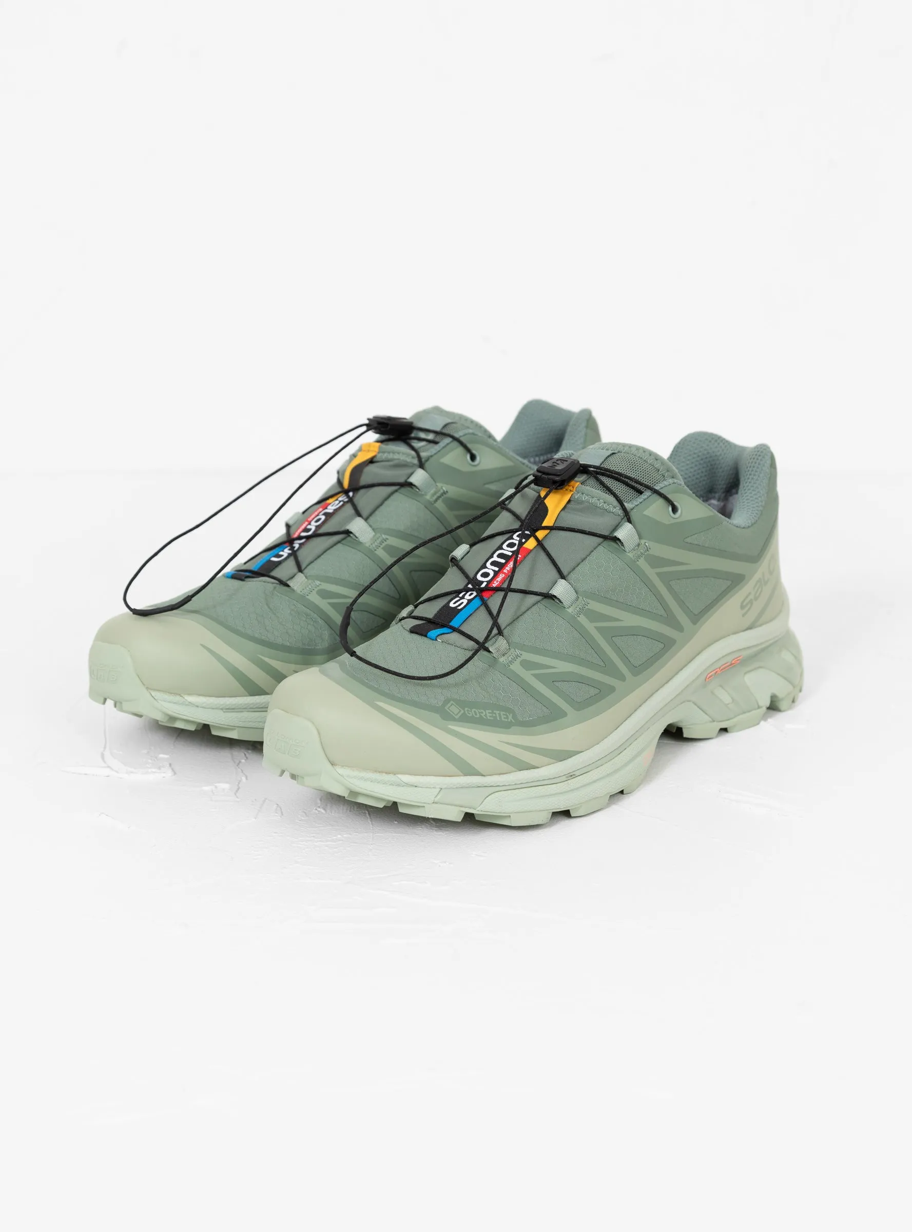 XT-6 GTX Sneakers Desert Sage, Lily Pad & Laurel Wreath