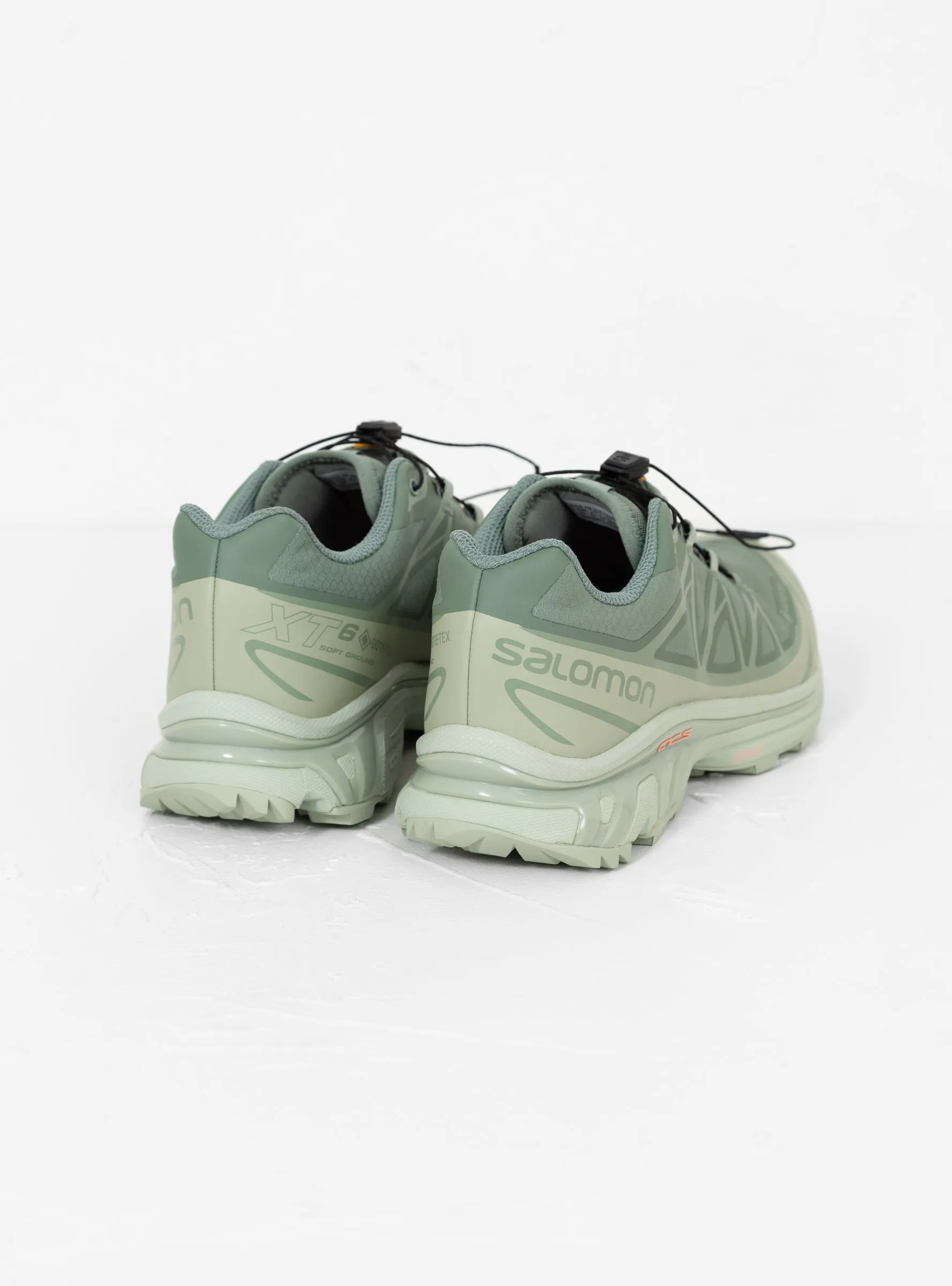 XT-6 GTX Sneakers Desert Sage, Lily Pad & Laurel Wreath